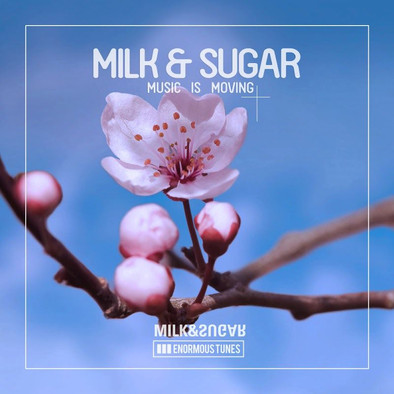 Nora En Pure’s Remix of Milk & Sugar’s “Music Is Moving” Will Surely Get You Moving